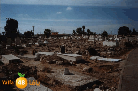 lud ramla 0507 (4).jpg